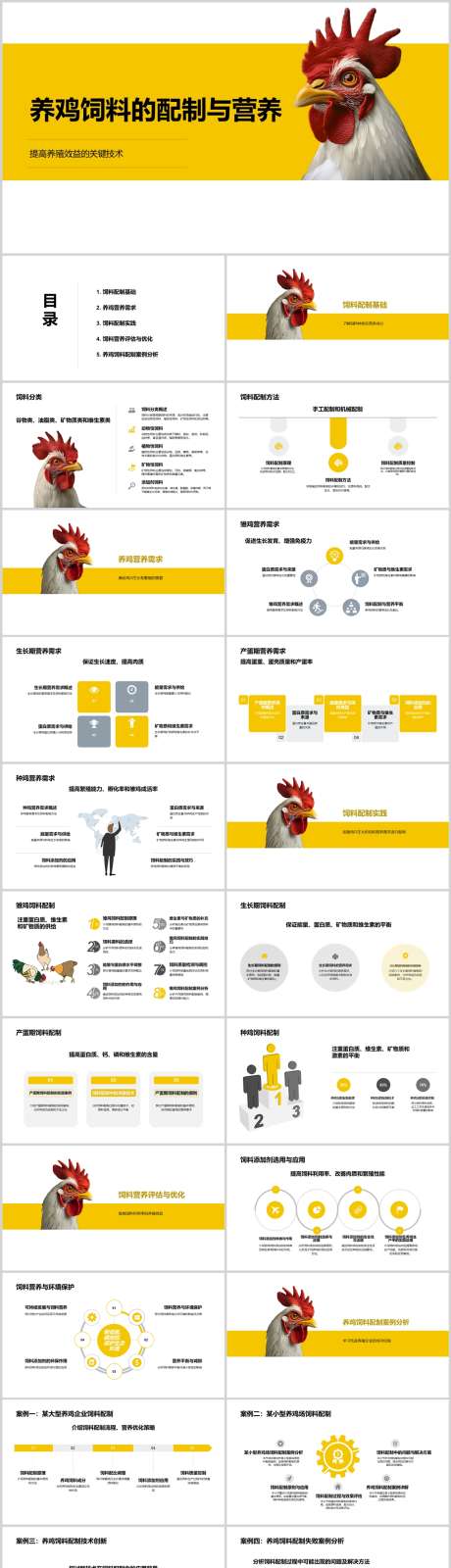 养鸡饲料的配制与营养PPT_源文件下载_其他格式格式_1212X4788像素-营养,配制,饲料,养鸡,PPT-作品编号:2024041315354859-素材库-www.sucai1.cn