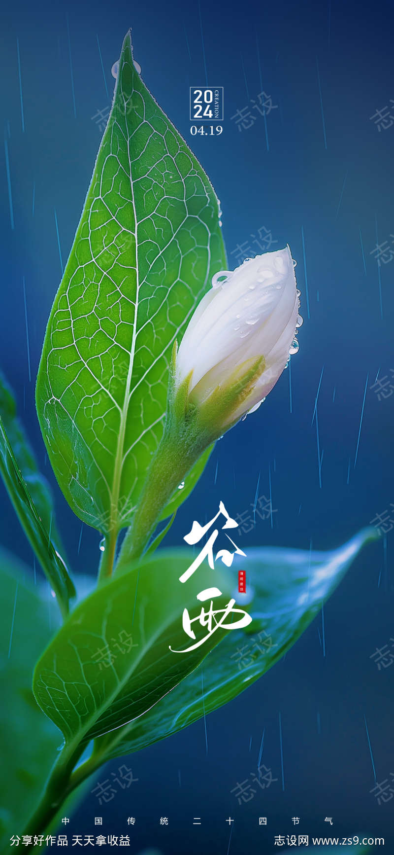 谷雨节气海报