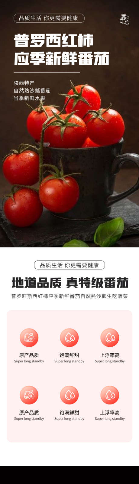 简约大气生鲜水果蔬菜番茄西红柿详情页_源文件下载_PSD格式_790X16123像素-农产品,西红柿,番茄,详情页,蔬菜,大气,简约-作品编号:2024041410436798-志设-zs9.com