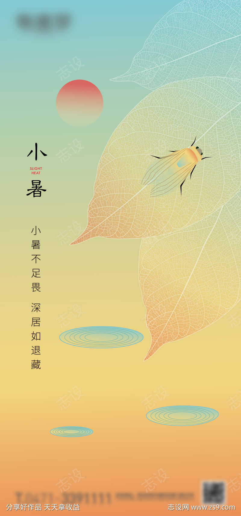 小暑节气海报