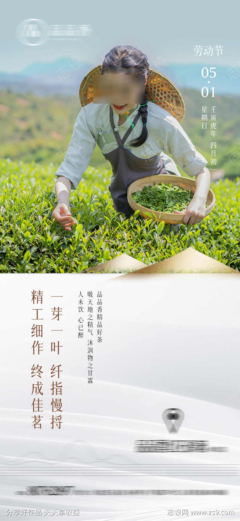 51五一劳动节采茶茶业茶叶