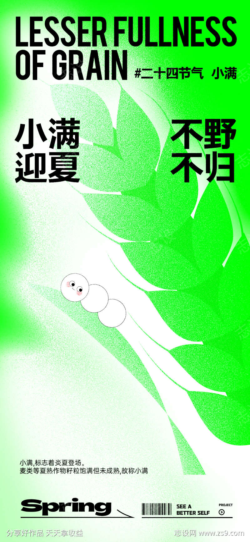 小满节气海报