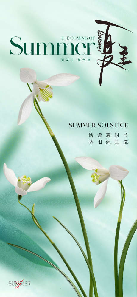 地产美业夏至节气海报_源文件下载_PSD格式_1200X2599像素-花卉,鲜花,淡雅,质感,高级,朦胧,弥散,唯美,夏天,夏季,清新,绿色,海报,节气,夏至,美业,地产-作品编号:2024051720074737-素材库-www.sucai1.cn