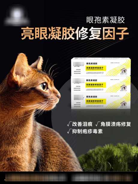 猫咪营养剂_源文件下载_PSD格式_1200X1600像素-猫咪,海报,亮眼,宠物,营养剂,猫,生活,电商-作品编号:2024052211308293-志设-zs9.com