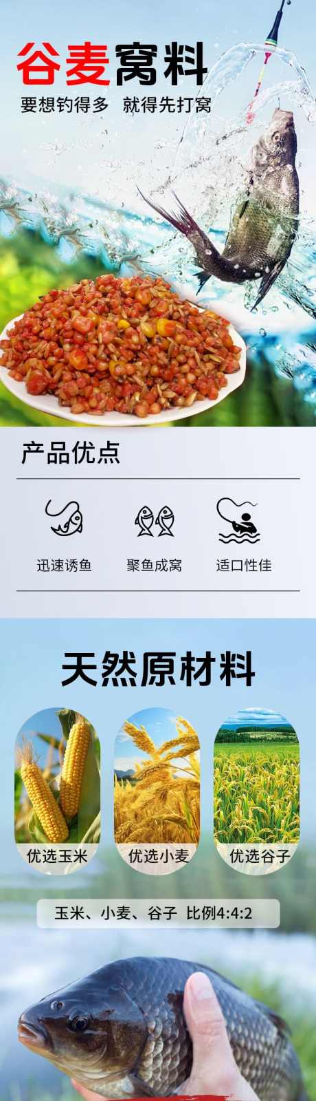 谷麦窝料钓鱼饲料_源文件下载_PSD格式_790X6587像素-谷麦,窝料,钓鱼,详情,长图-作品编号:2024060110478199-志设-zs9.com