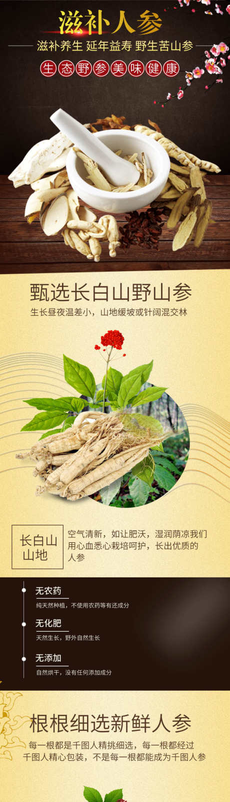 人参详情页_源文件下载_PSD格式_790X9854像素-商场,详情页,淘宝,食物,食品,电商,干果,干货,补品,滋补品,人参-作品编号:2024070216586524-素材库-www.sucai1.cn