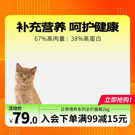 猫粮促销活动主图_源文件下载_PSD格式_800X800像素-主图,宠物,猫粮,卡通,黄色,橘色-作品编号:2024071815348797-志设-zs9.com