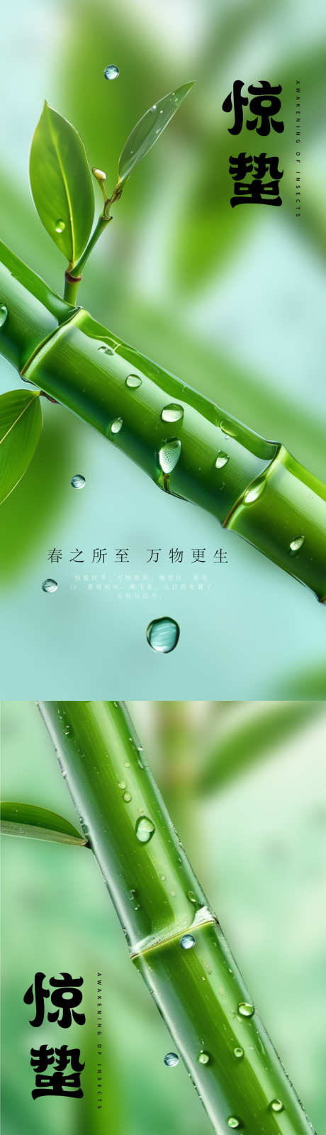 惊蛰清新海报_源文件下载_1080X2320像素-清新,简约,惊蛰,海报,节气-作品编号:2024072317236715-素材库-www.sucai1.cn