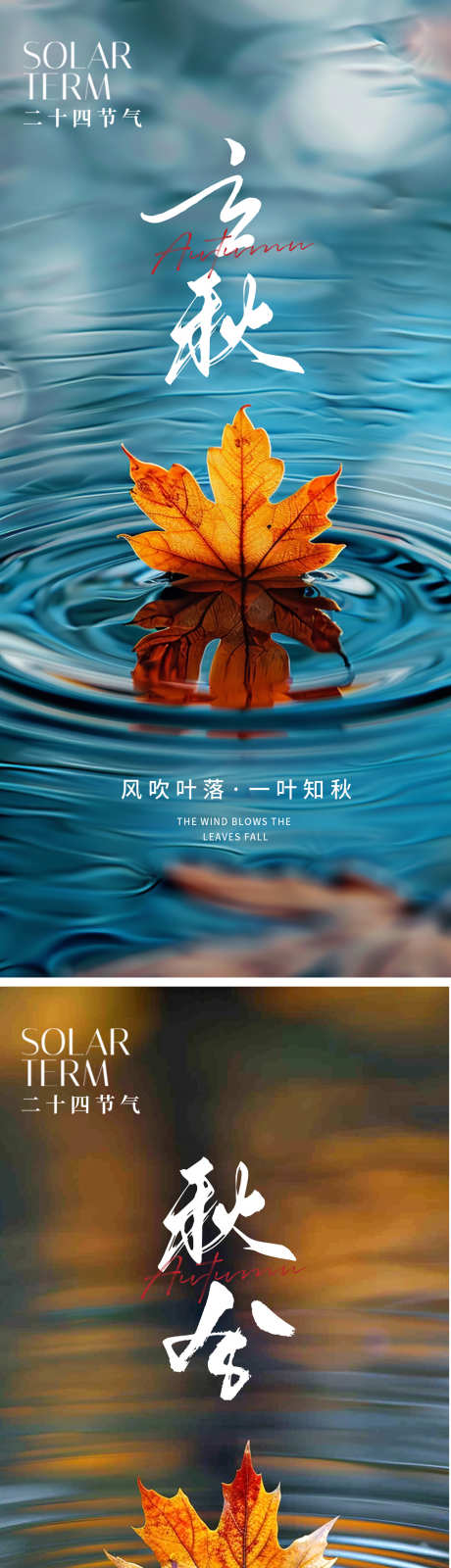 立秋秋分节气海报_源文件下载_PSD格式_1124X2437像素-海报,秋天,节气,秋分,立秋,枫叶-作品编号:2024072613133549-素材库-www.sucai1.cn