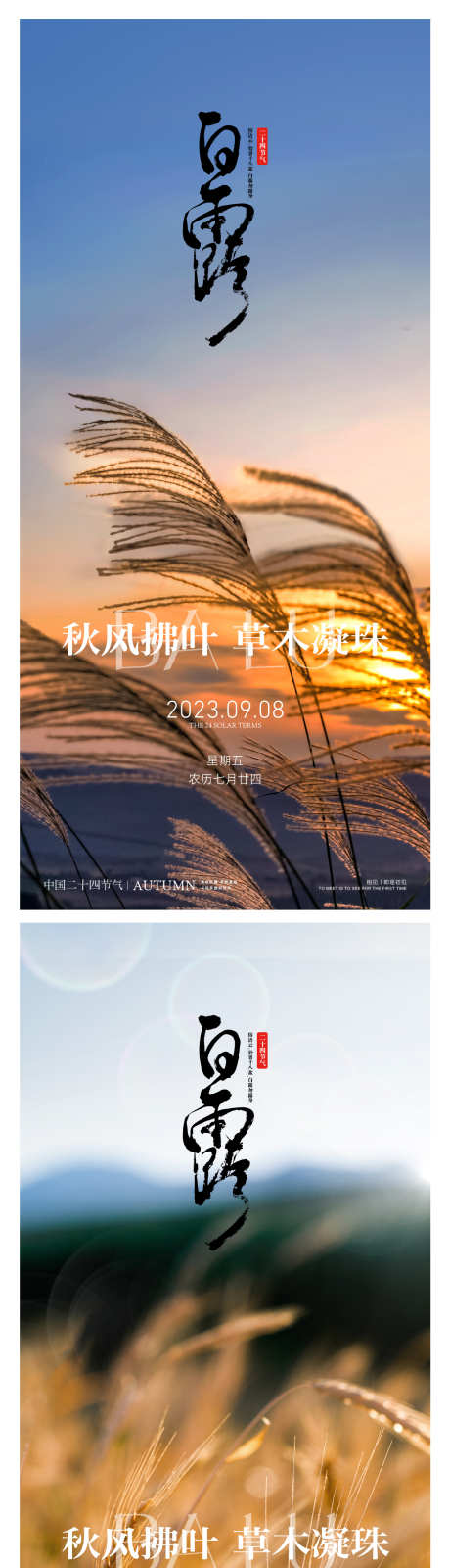 白露系列海报_源文件下载_1232X5011像素-意境,白露,地产,秋天,水珠,水滴,露水,节气,芦苇-作品编号:2024073111119485-素材库-www.sucai1.cn