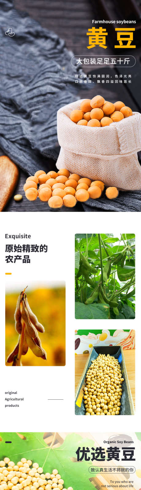 黄豆电商详情页_源文件下载_PSD格式_790X8596像素-商城,豆子,农产品,黄豆,电商,详情页,品质-作品编号:2024081117012010-素材库-www.sucai1.cn