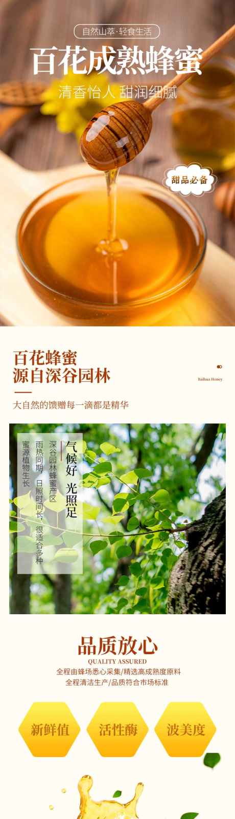 蜂蜜电商详情_源文件下载_PSD格式_790X10650像素-调味品,大气,简约,蜂蜜,食品,电商,详情页-作品编号:2024081215126784-素材库-www.sucai1.cn