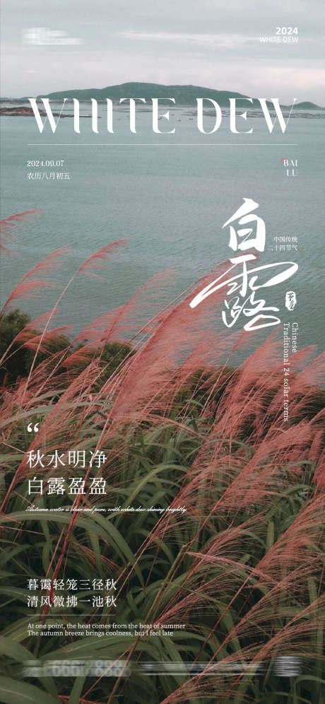 白露节气海报_源文件下载_PSD格式_1125X2436像素-节气,海报,白露,秋天,秋季,芦苇-作品编号:2024081414282618-素材库-www.sucai1.cn