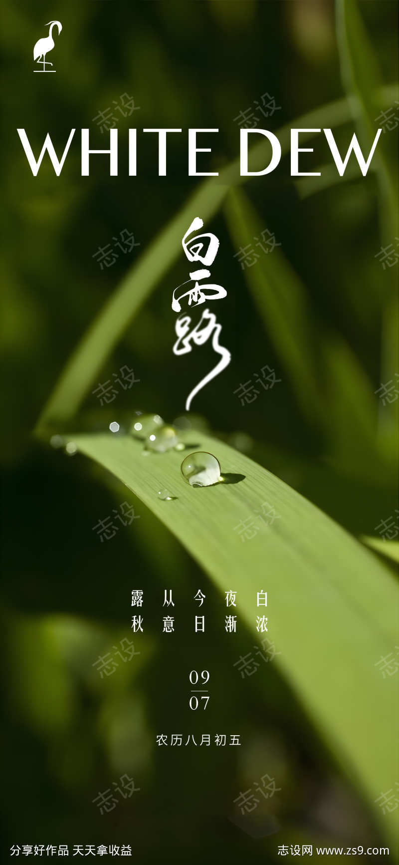 白露节气海报