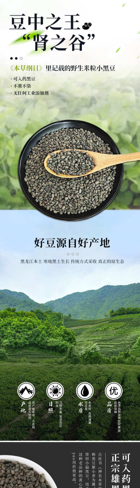 黑豆详情页_源文件下载_PSD格式_790X13252像素-黑豆,详情页,通用,长图,详情-作品编号:2024083011057030-志设-zs9.com