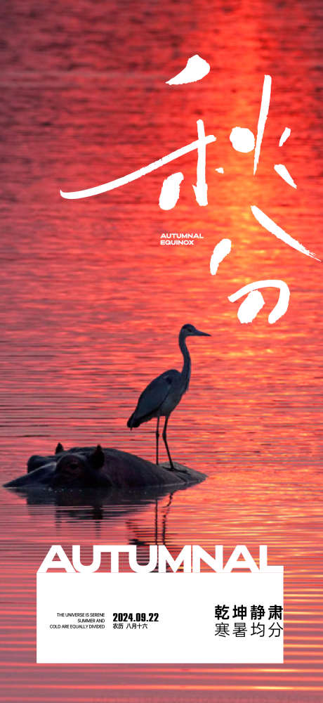 秋分节气好饱_源文件下载_AI格式_1562X3396像素-海报,秋分,秋天,湖景,日落,风景,节气,动物-作品编号:2024092009123747-设计导航-shejidh.cn