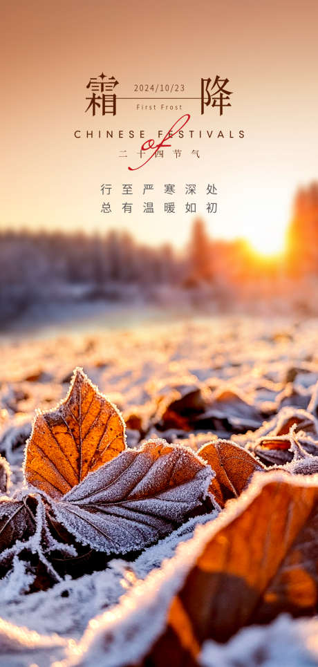 霜降节气海报_源文件下载_PSD格式_1080X2266像素-冰霜,雪景,冬天,节气,冬季,落叶,霜降-作品编号:2024101115219568-志设-zs9.com