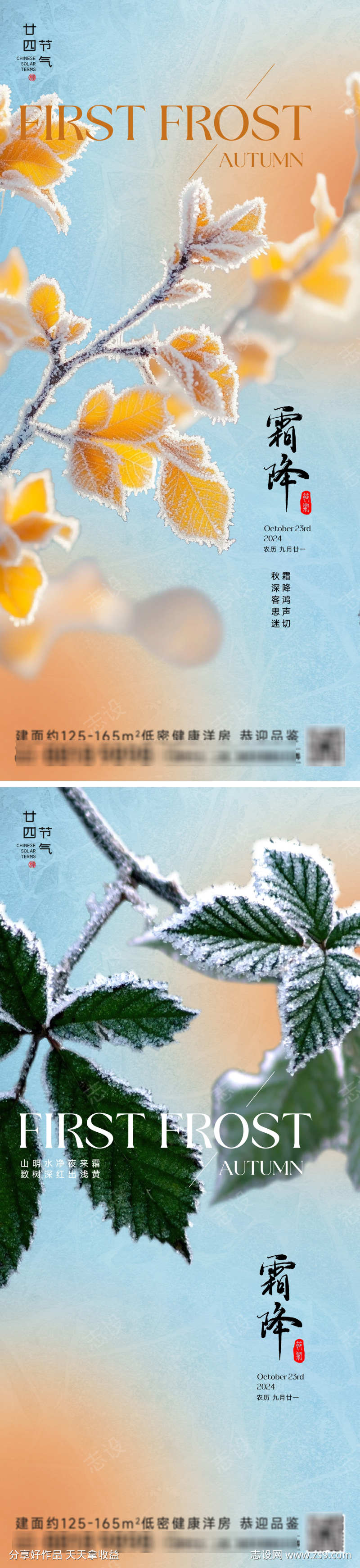 霜降节气海报