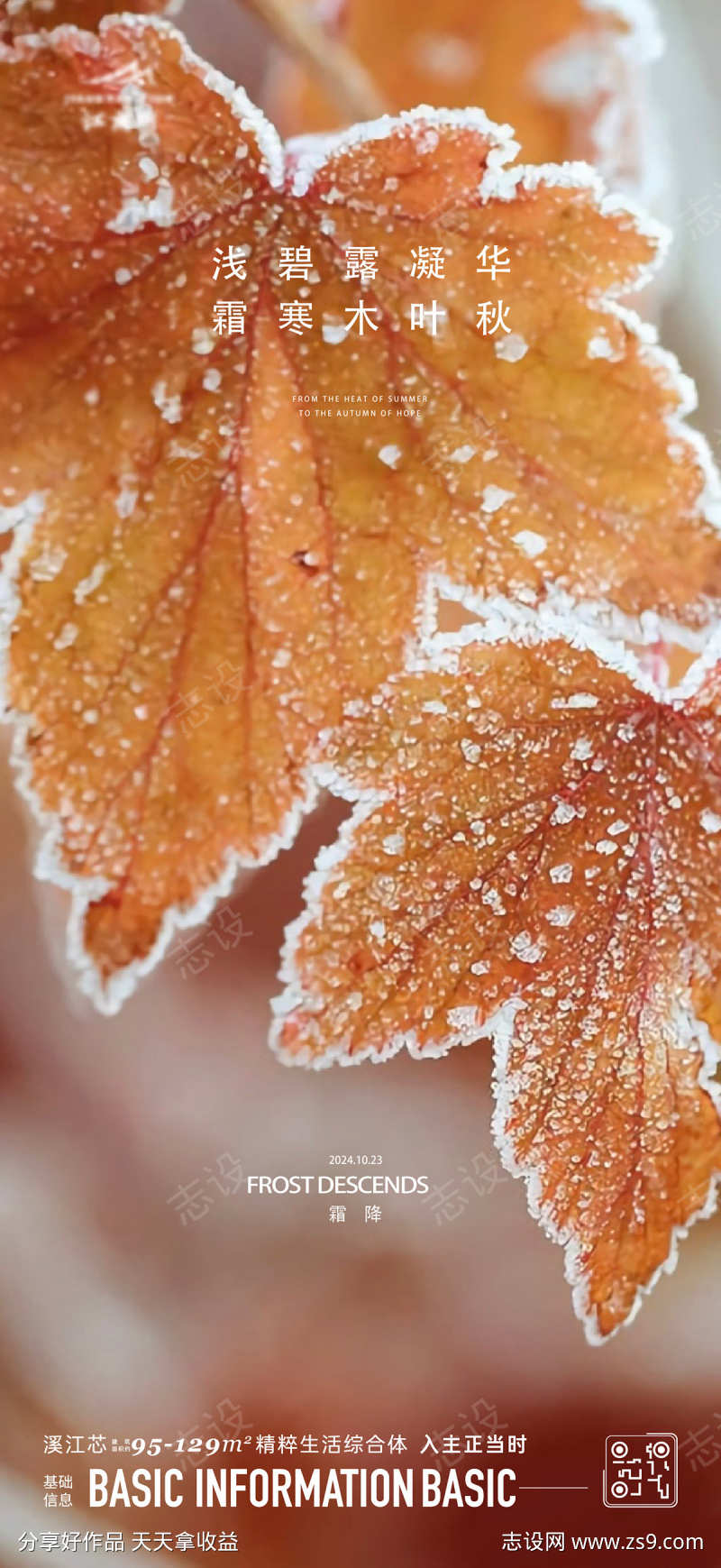 霜降节气海报