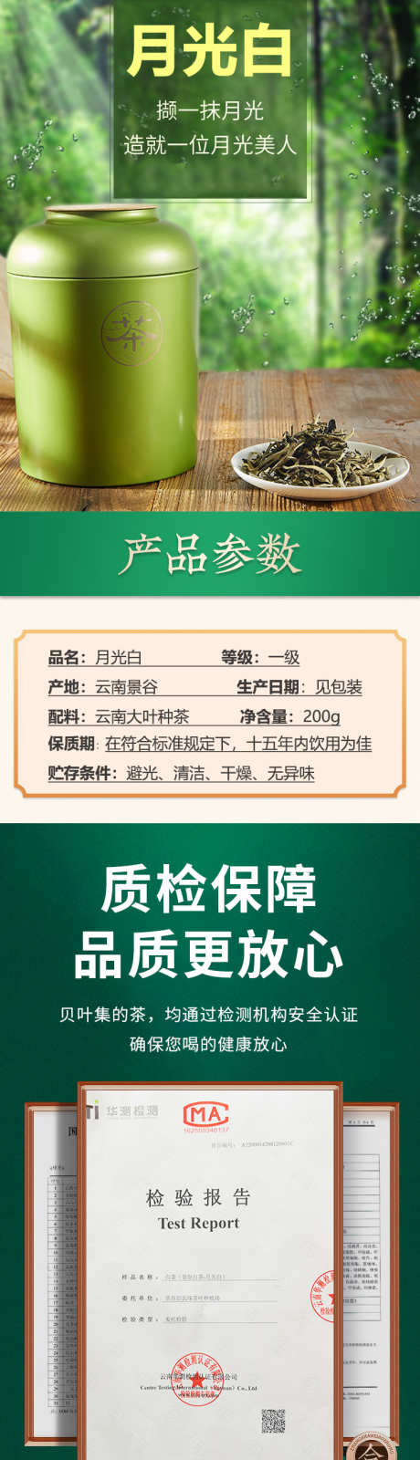 白茶促销投放详情页_源文件下载_PSD格式_750X11223像素-投放,大叶种茶,促销,景谷,云南,白茶-作品编号:2024102613007163-志设-zs9.com