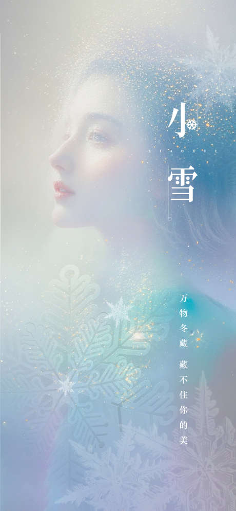 医美小雪节气_源文件下载_PSD格式_1080X2333像素-小雪,节气,美肤,美容,私密,医美,人物,冬天-作品编号:2024111208445003-志设-zs9.com