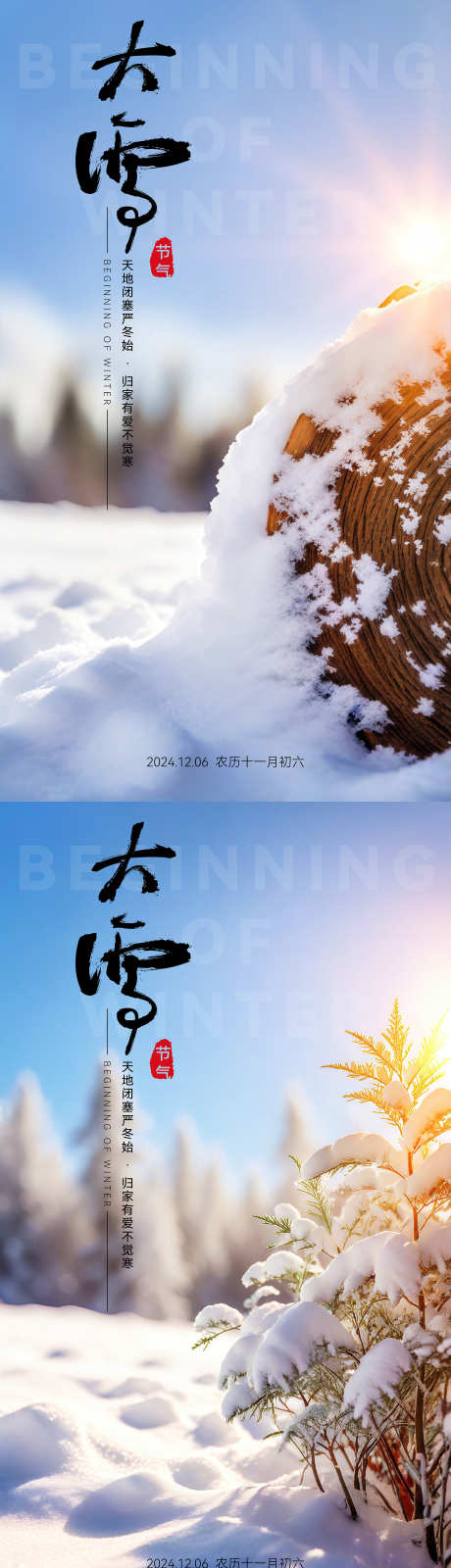 大雪节气海报_源文件下载_AI格式_2000X7112像素-冬天,海报,大雪,节气,冬季,雪景,草地-作品编号:2024120113396642-志设-zs9.com