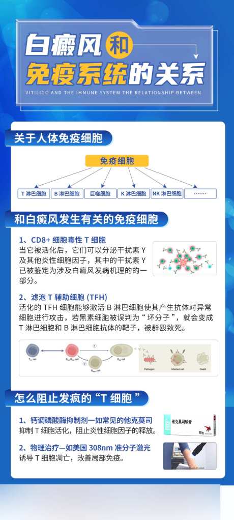 蓝色医疗科普海报白癜风医疗常识_源文件下载_PSD格式_1080X2400像素-常识,知识,海报-作品编号:2024120416444577-志设-zs9.com