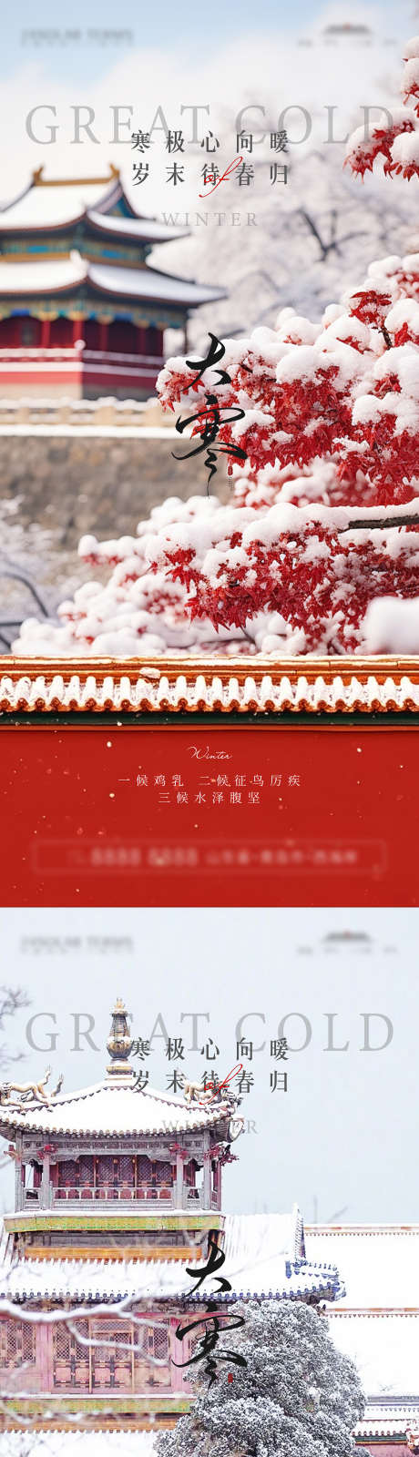 大寒节气海报_源文件下载_22,23格式_1500X6498像素-白雪,古城,大雪-作品编号:2025011211298375-志设-zs9.com