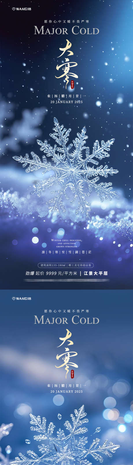 大寒雪花海报_源文件下载_PSD格式_1080X2340像素-清新,自然,雪花-作品编号:2025011513335067-志设-zs9.com