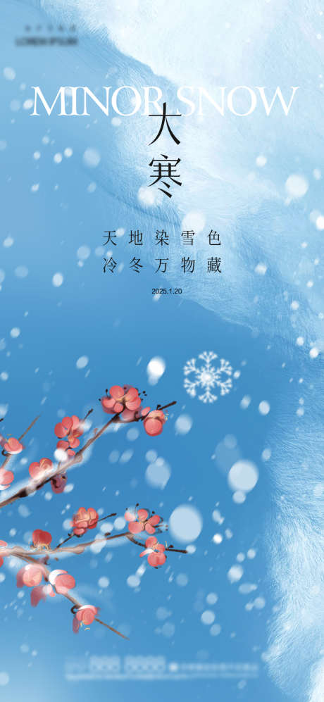 大寒节气海报_源文件下载_23格式_1080X2340像素-雪花,小寒,大寒-作品编号:2025011516516092-志设-zs9.com