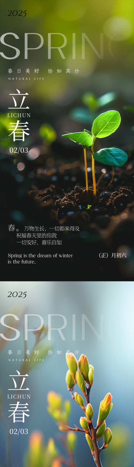 立春雨水惊蛰春分_源文件下载_PSD格式_1080X4600像素-高端,春分,节日-作品编号:2025012116139102-志设-zs9.com