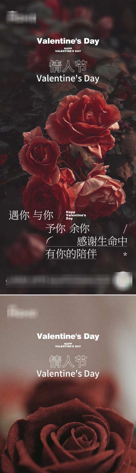 情人节海报_源文件下载_PSD格式_1080X4684像素-爱你,我爱你,情侣-作品编号:2025020509413317-志设-zs9.com