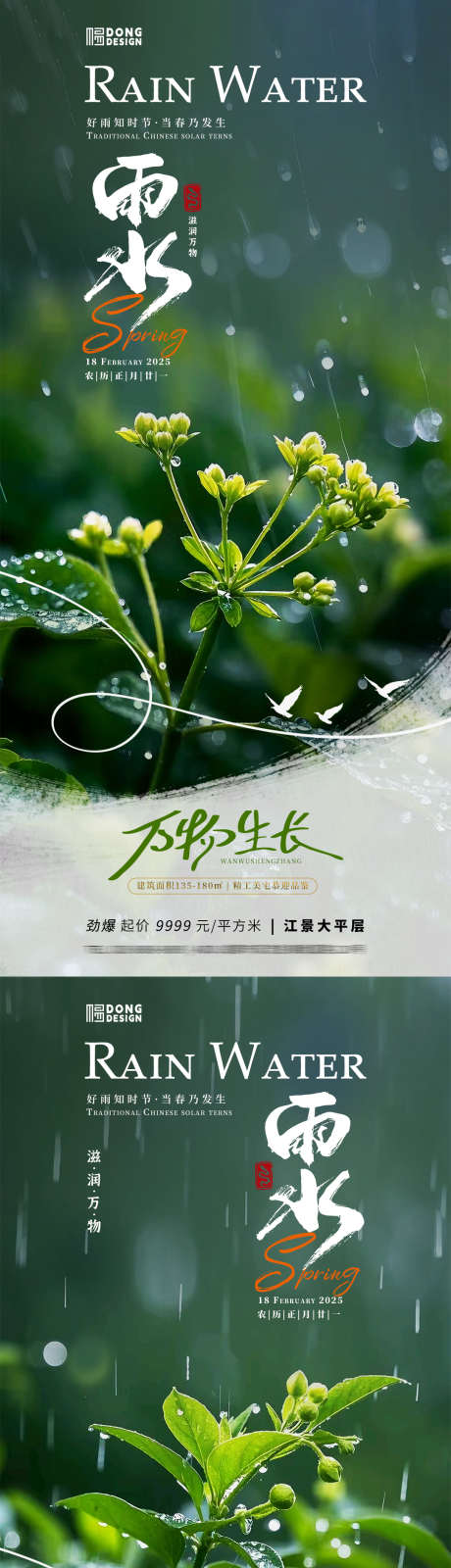 雨水植物海报_源文件下载_PSD格式_1080X2340像素-自然,清新,花朵-作品编号:2025020615393444-志设-zs9.com