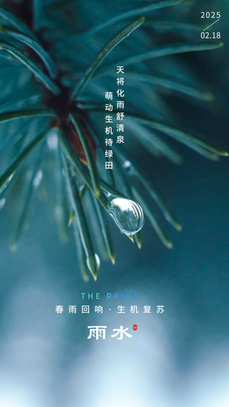 雨水节气海报_源文件下载_PSD格式_1242X2208像素-清新,雨水,节气-作品编号:2025020717063595-志设-zs9.com