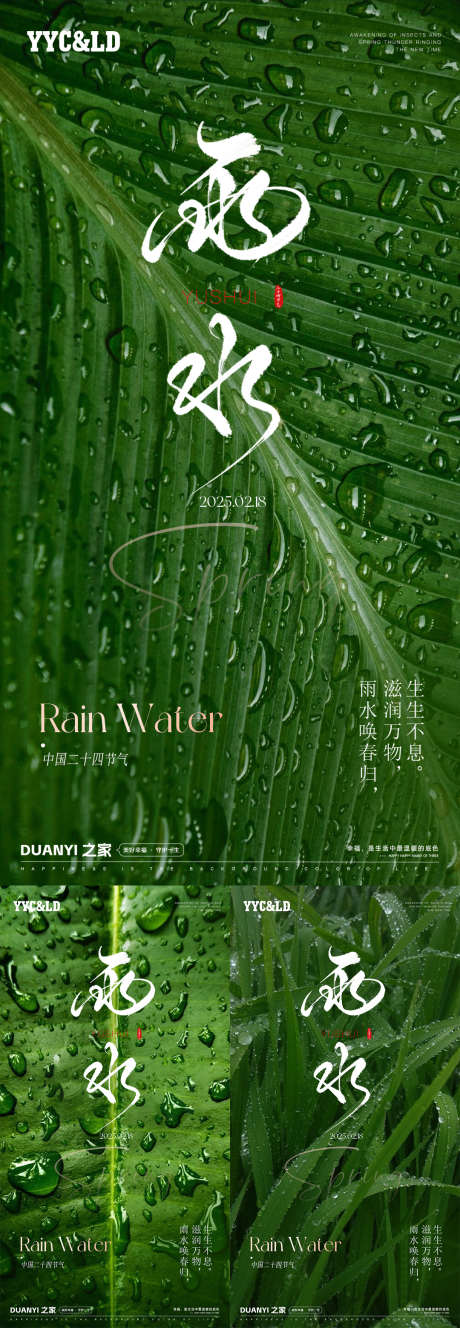 雨水系列海报_源文件下载_PSD格式_1080X3118像素-绿植,植被,风景-作品编号:2025021113197632-志设-zs9.com